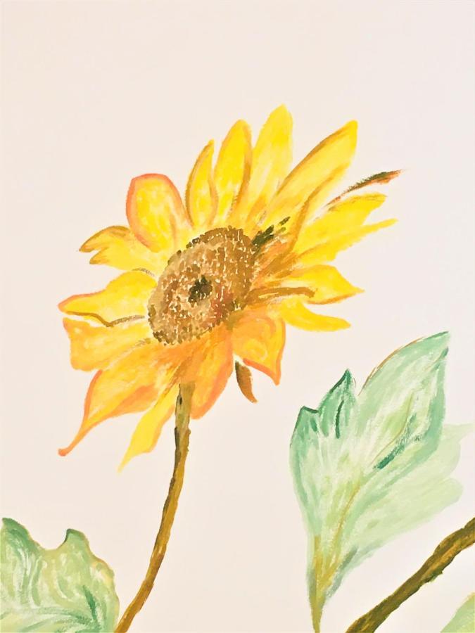 Ferienwohnung Il Girasole Caprino Veronese Exterior foto